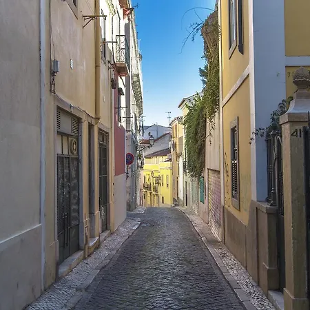 Santa Marta Vintage Design By Homing *